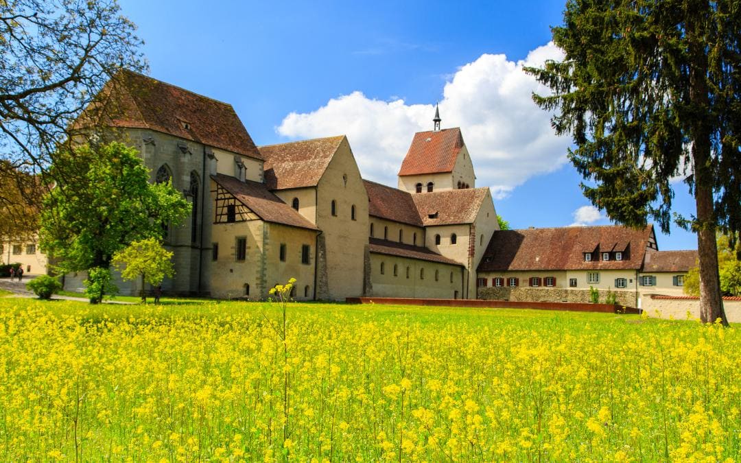 Kloster Reichenau in Mittelzell auf der Insel Reichenau im Bodensee – Schrägansicht der Klosteranlage von einem Rapsfeld aus gesehen.