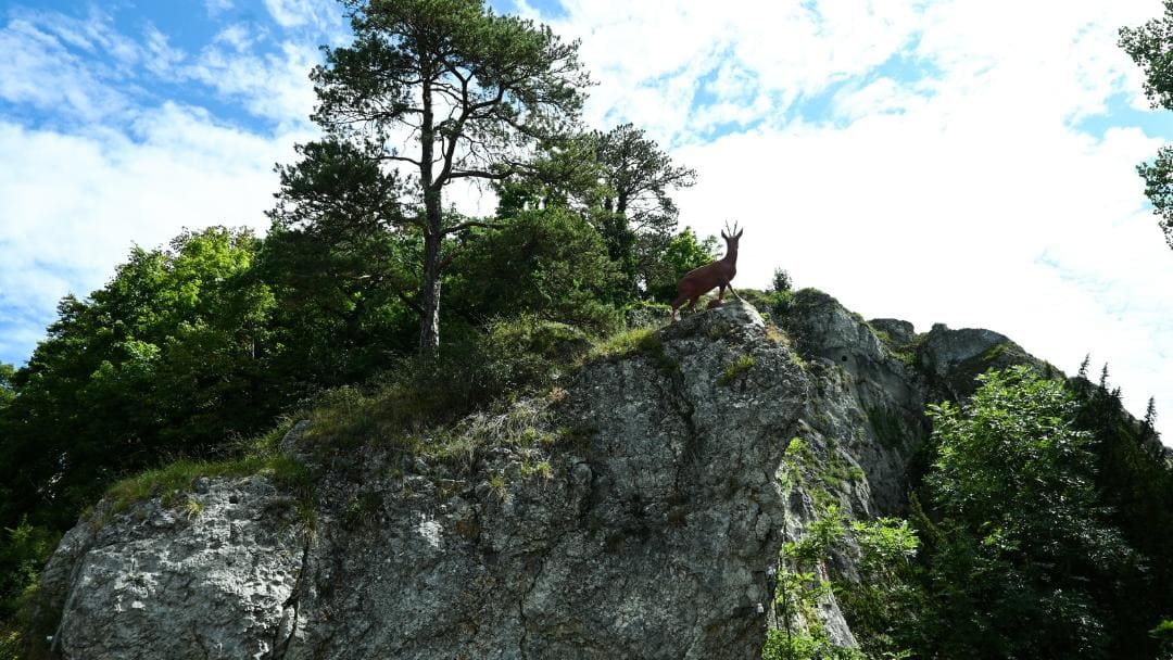 Sigmaringen, Panthelstein - die Skulptur des Rehbocks auf dem Panthelstein von hinten, er schaut bergaufwärts - angiestravelroutes.com