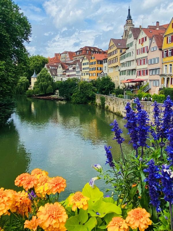 Tübingen, Neckarfront - Old town panorama seen from the Eberhardsbrücke, in the foreground yellow and blue flowers of the bridge planting - angiestravelroutes.com