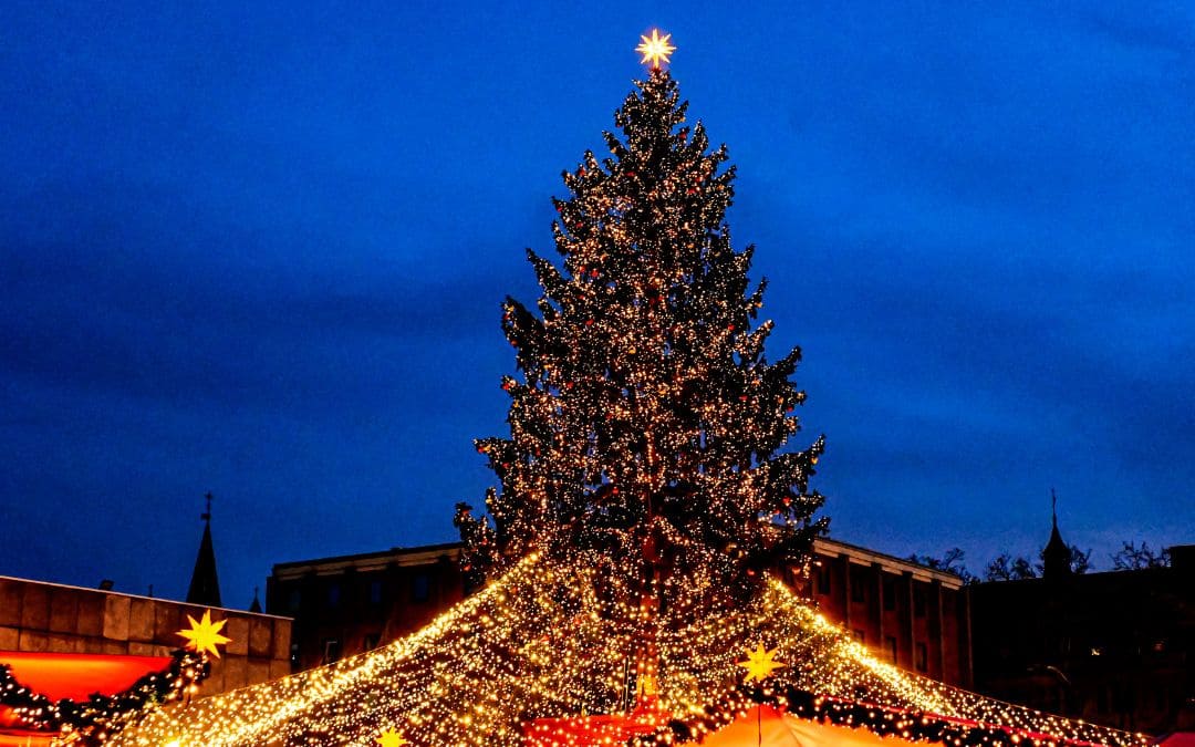 12-cologne-christmas-market-at-the-cathedral-light-tent-1 Christmas market at Cologne Cathedral at night with a large Christmas tree and illuminated tent. - angiestravelroutes.com
