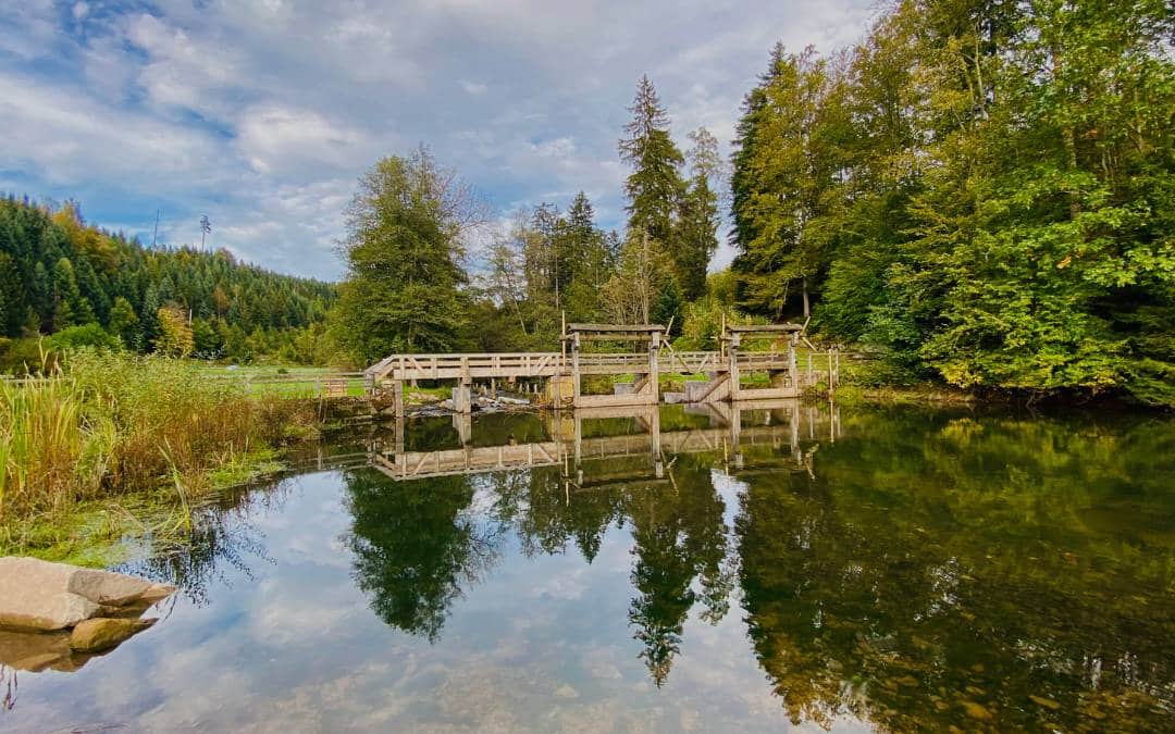 Altensteig, Monhardter Wasserstube - die Stauanlage, eine Holzkonstruktion, überspannt die Nagold - angiestravelroutes.com