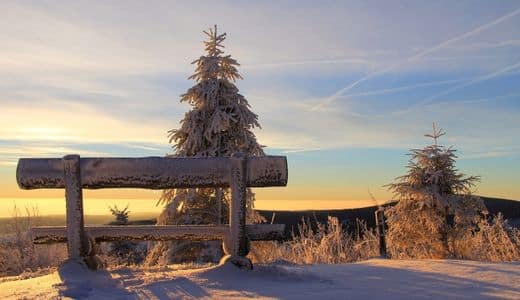 Erzgebirge, Fichtelberg - in the foreground a wooden bench, behind it a snow-covered fir tree, sunny winter landscape