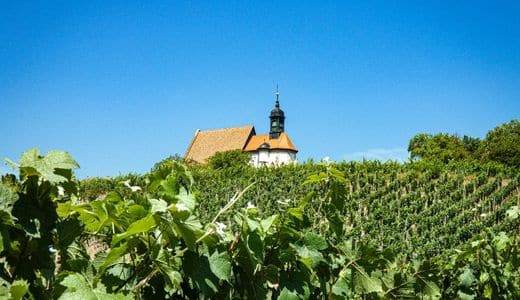 Mainfranken, Volkach, Bayern - die Wallfahrtskirche Maria im Weingarten auf dem Gipfel eines Weinberges - angiestravelroutes.com