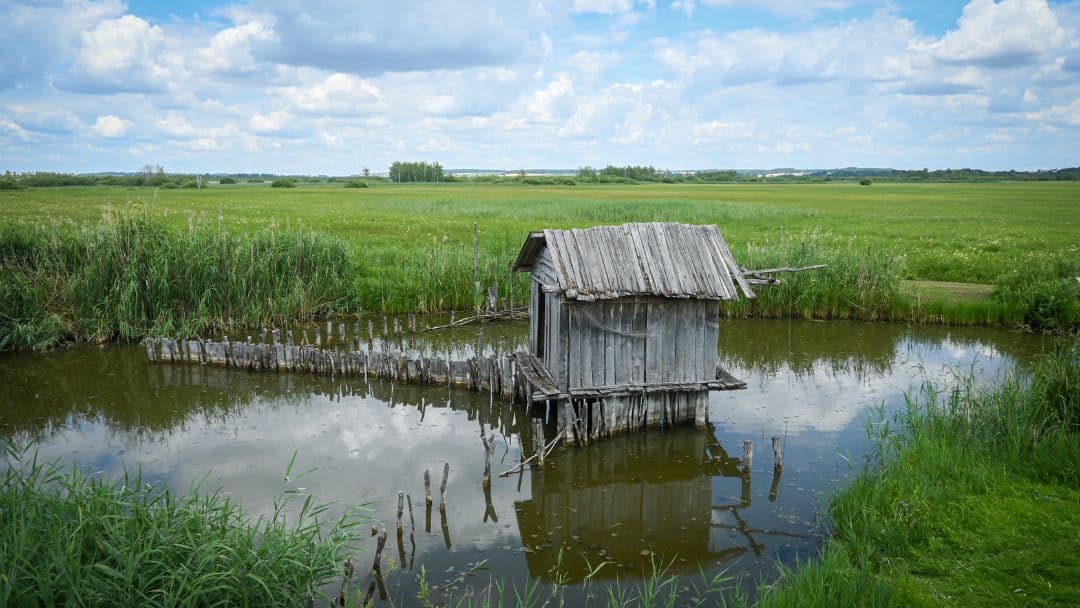 Federsee near Bad Buchau, Upper Swabia, Baden-Württemberg - early Celtic fishing site