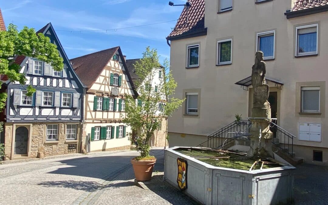 BB - Marbach am Neckar, Wilder-Mann-Brunnen und Schillers Geburtshaus - angiestravelroutes.com
