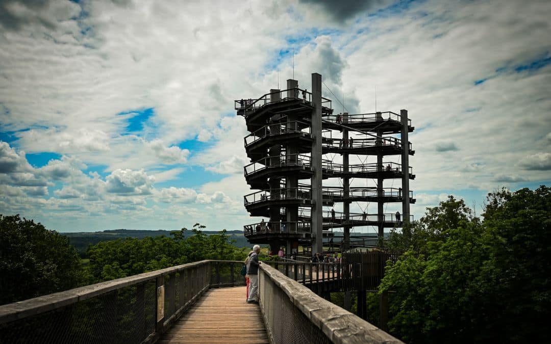 Wooden treetop trail with an observation tower at the Saar Loop