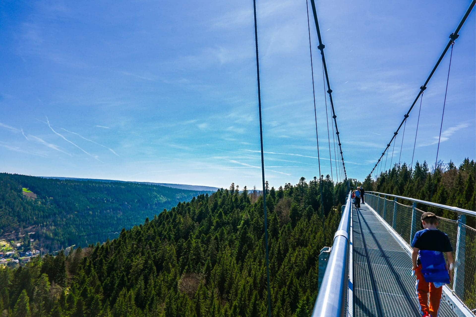 Wildline Fußgängerhängebrücke, Bad Wildbad, Nordschwarzwald - rechts im Bild die Hängebrücke mit Hängeseilen, Handläufen und Gitterrost, auf der Brücke rechts im Bild ein Junge mit oranger Hose, blauem T-Shirt und Cap von hinten, im Hintergrund einige weitere Brückenspaziergänger. Ringsherum die Schwarzwaldtannen in hügeliger Landschaft bis zum Horizont - angiestravelroutes.com