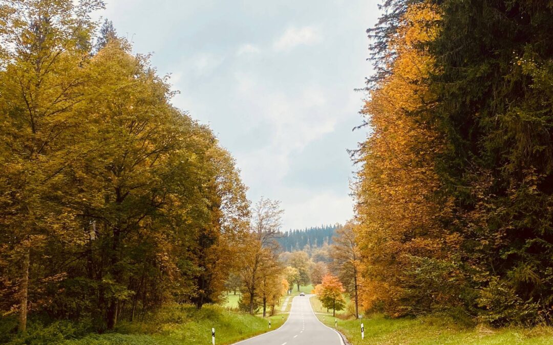 Roadtrip planen: In 3 Schritten zur perfekten Autotour