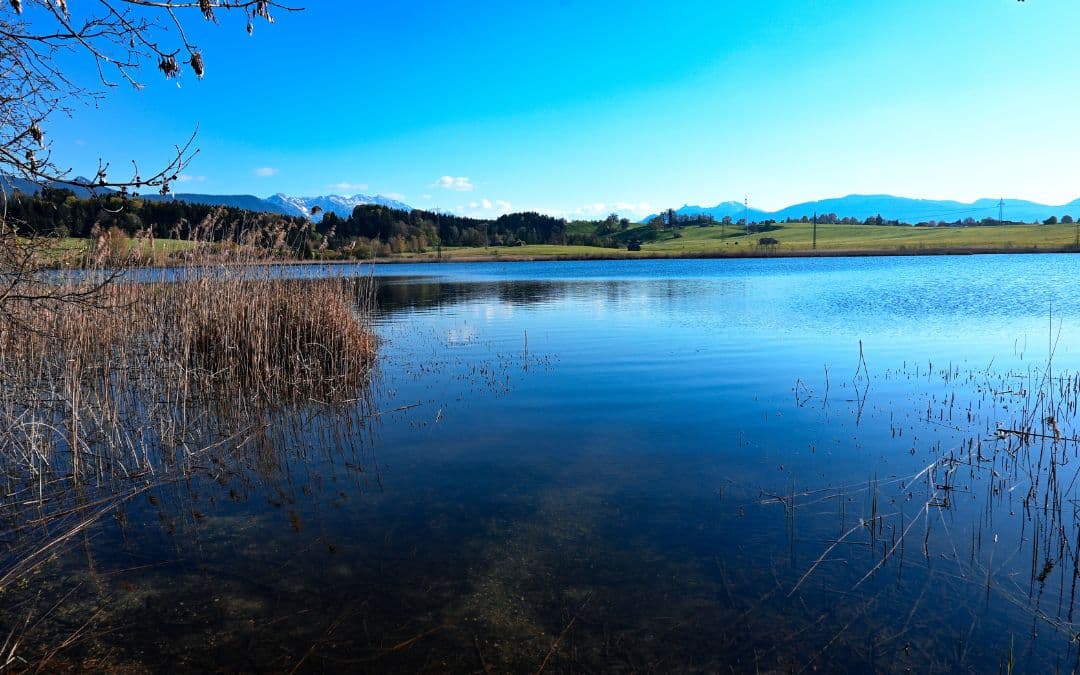 blue-land-froschhauer-lake Blue Land, Froschhauser See: Idyll at the blue hour