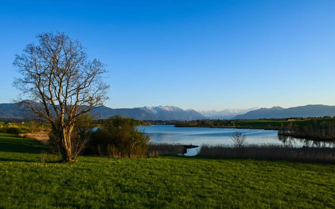 blue-land-war-lake-2 Blaues Land, Riegsee: View of the lake, mountains in the background.
