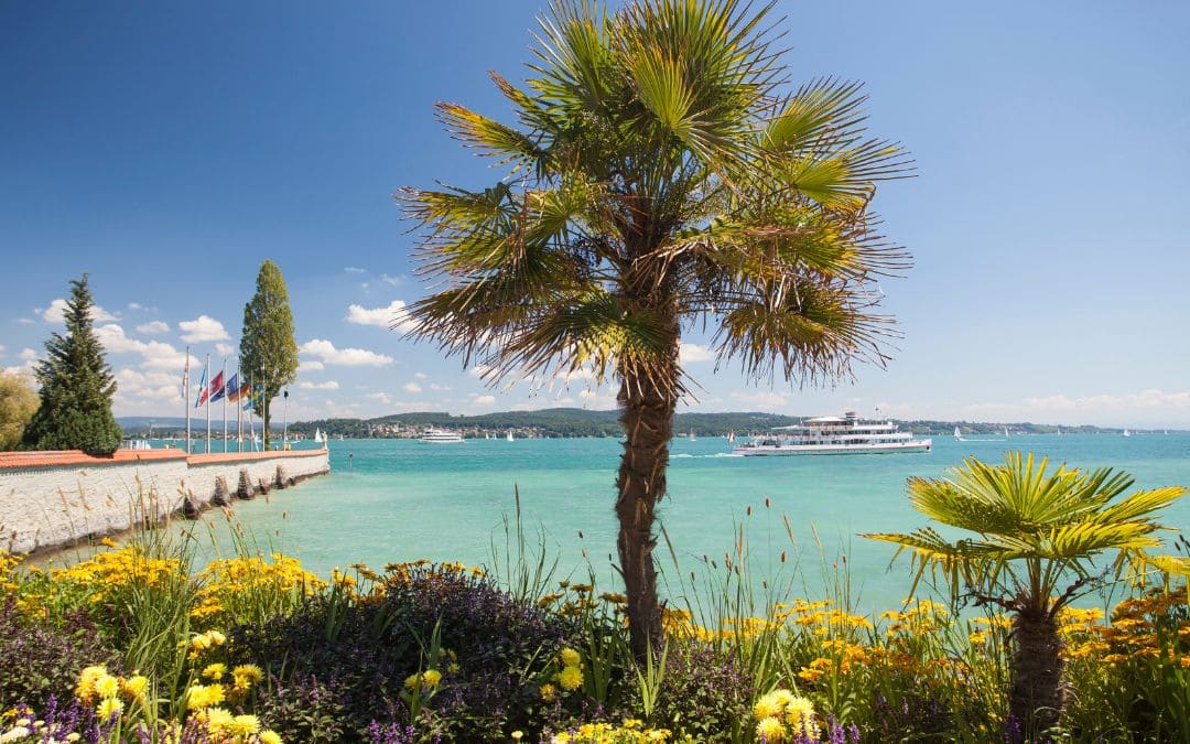 Mainau Island - palm trees and flowers against the backdrop of Lake Constance
