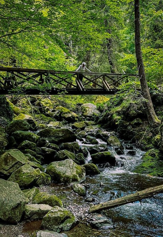 Wooden bridge over the Ravenna gorge near Hinterzarten in the Upper Black Forest