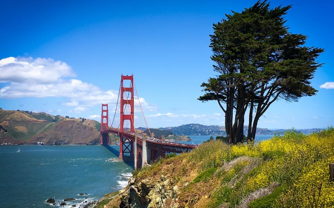 San Francisco, Golden Gate Bridge - View of the bridge from Presidio Park, a crooked tree on the right - angiestravelroutes.com