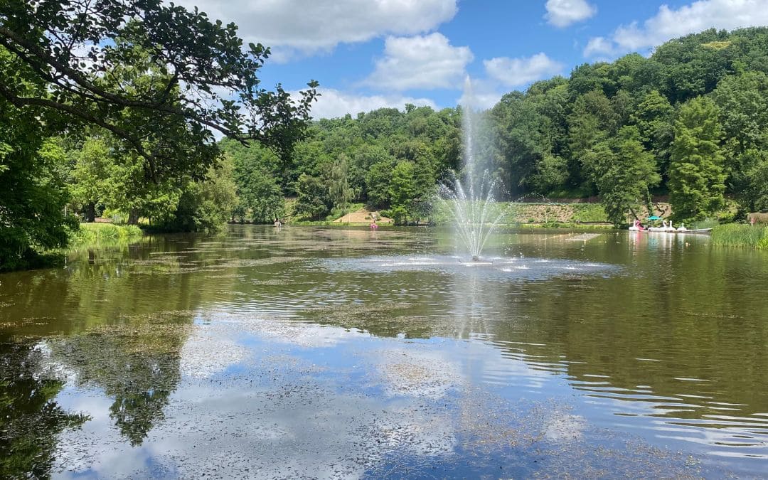 German-French Garden, Saarbrücken - View of the Deutschmühlen Pond with its spring fountain
