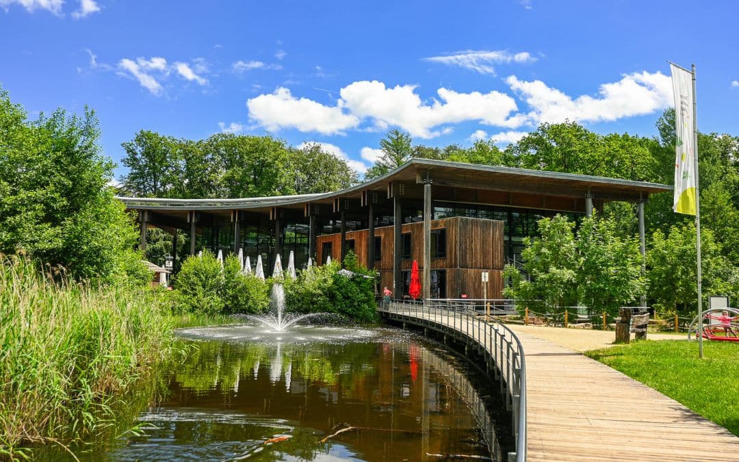 Cloef Atrium on the Saar Loop, featuring a pond, a wooden walkway, and modern wooden architecture