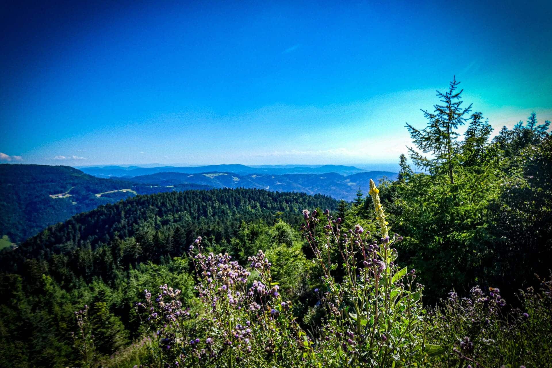 schwarzwaldhochstrasse-viewpoint-mummelsee Schwarzwaldhochstraße - View of the Black Forest from the Schwarzwaldhochstraße near Lake Mummelsee