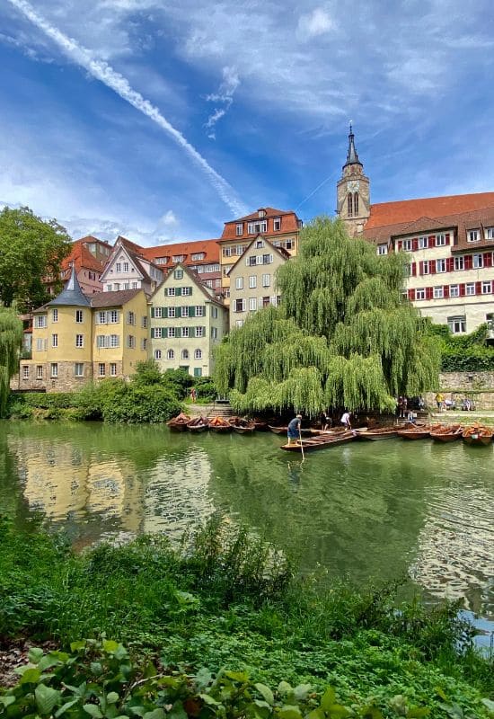Blick von der Neckarinsel auf die Altstadt von Tübingen mit Hölderlinturm