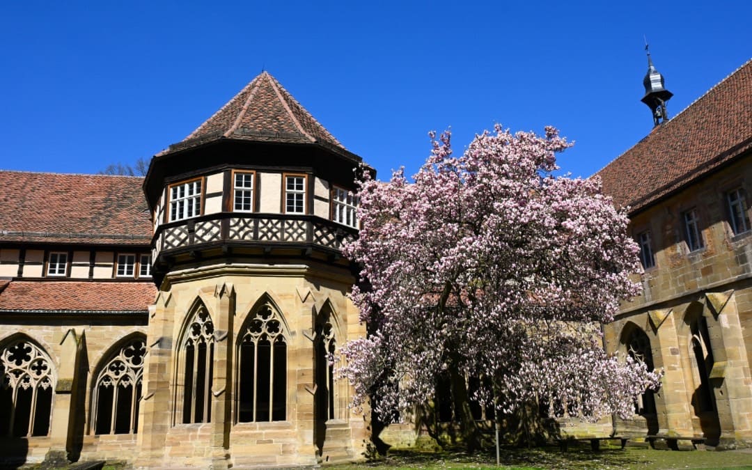 State Palaces and Gardens of Baden-Württemberg, Maulbronn Monastery - Cloister garden with flowering magnolia tree - angiestravelroutes.com