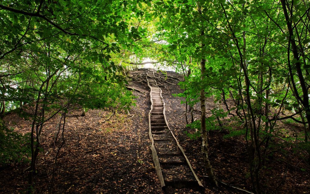 A wooden staircase winds its way through dense forest up to the Kleiner Fuji lookout point
