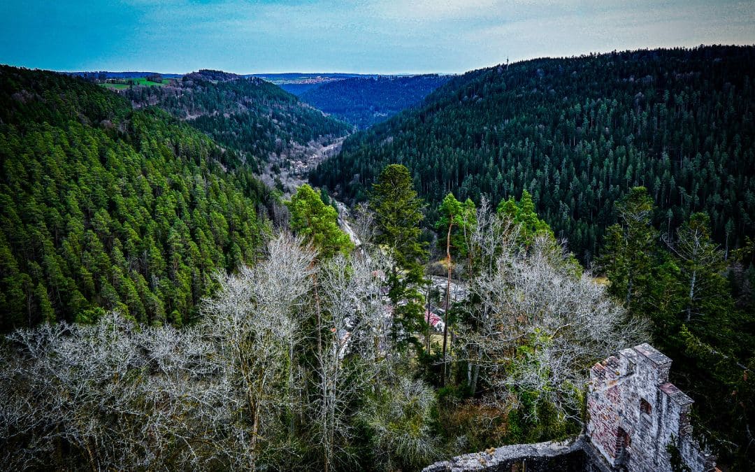 zavelstein-bergfried-ausblick-schwarzwald Burgruine Zavelstein - Ausblick vom Bergfried auf den Schwarzwald